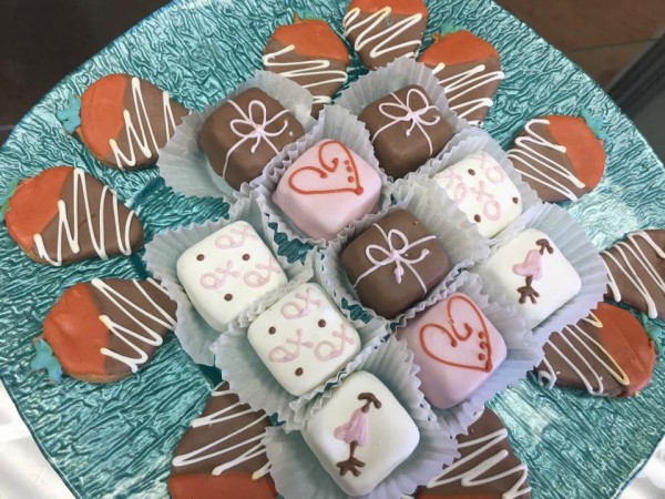 salty paws healthy pet market