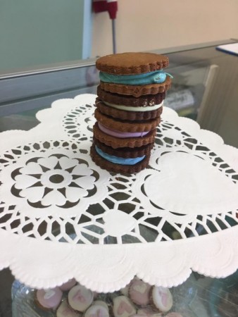 salty paws healthy pet market