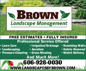 Brown Landscape Management