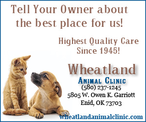 Wheatland Animal Clinic