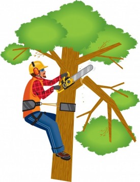 R&R Tree Service