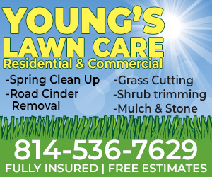 Young's Lawncare