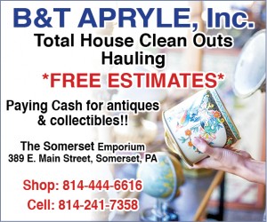 B & T APRYLE, INC.