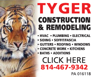 Tyger Construction