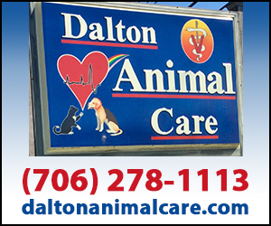 Dalton Animal Care