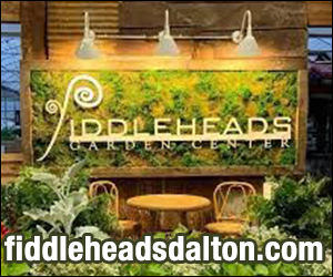 Fiddleheads Garden Center