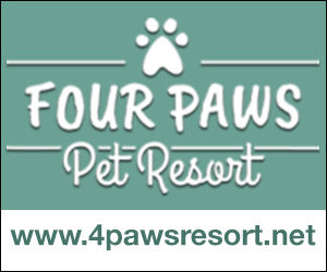 Four Paws Pet Resort