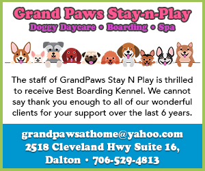 Grand Paws Stay N Play