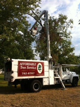 AFFORDABLE TREE SERVICES