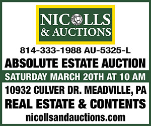 Nicolls & Auctions