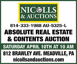 Nicolls & Auctions