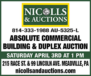 Nicolls & Auctions