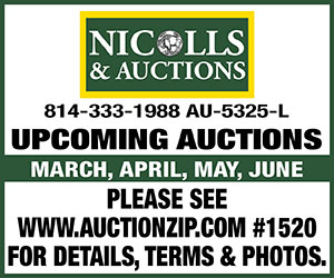 Nicolls & Auctions