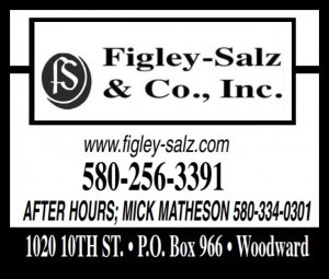 Figley-Salz Insurance 