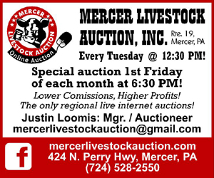 Loomis Auctions/Mercer Livestock Auctions