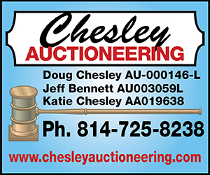 Chesley Auctioneering