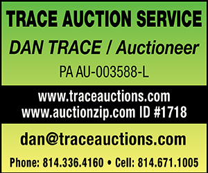 Trace Auction Service