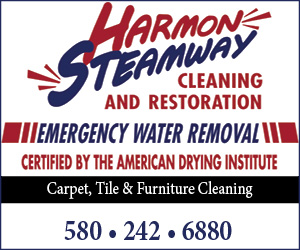 Harmon Steamway